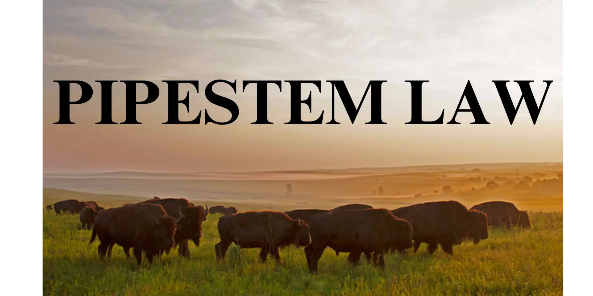 Pipestem Law